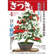 さつき研究 2017年 04月号 No.565 [雑誌]