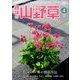 趣味の山野草 2017年 04月号 [雑誌]