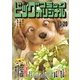 ビッグコミックオリジナル 2017年 3/20号 [雑誌]