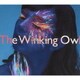 The Winking Owl／Into Another World