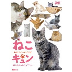 ヨドバシ.com - ねこキュン 癒しのにゃんこシアター We Love Cat