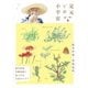 NHKスペシャル 足元の小宇宙 絵本作家・甲斐信枝と見つける生命のドラマ (NHK DVD) [DVD]