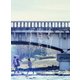 ぼくは明日、昨日のきみとデートする 豪華版 [Blu-ray Disc]