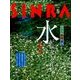 SINRA (シンラ) 2017年 05月号 [雑誌]