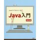 Java入門 改訂版 (Javaバイブルシリーズ) [単行本]