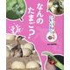 どうぶつのからだ これ、なあに?〈7〉なんのたまご? [単行本]