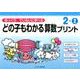 ゆっくりていねいに学べるどの子もわかる算数プリント 2-2 [単行本]