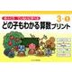 ゆっくりていねいに学べるどの子もわかる算数プリント 3-1 [単行本]