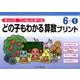 ゆっくりていねいに学べるどの子もわかる算数プリント 6-1 [単行本]