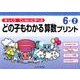 ゆっくりていねいに学べるどの子もわかる算数プリント 6-2 [単行本]