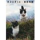 岩合光昭 写真集「ネコとずっと」(仮) [ムック・その他]