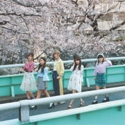 桜色ダイアリー