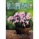趣味の山野草 2017年 05月号 [雑誌]