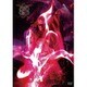 陰陽座／絶巓鸞舞 [DVD]