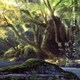 吉森信／夏目友人帳 伍 陸 音楽集 そこに咲いてきた花へ
