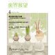 歯界展望 2017年 04月号 [雑誌]