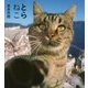 とらねこ(IWAGO'S BOOK) [単行本]
