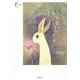 いちまいの羊歯(新鋭短歌シリーズ〈36〉) [単行本]