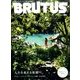 BRUTUS (ブルータス) 2017年 5/1号 [雑誌]