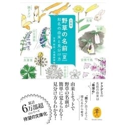 野草の名前 夏 [文庫]