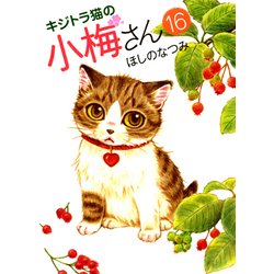 キジトラ猫の小梅さん 16（ねこぱんちコミックス） [コミック]