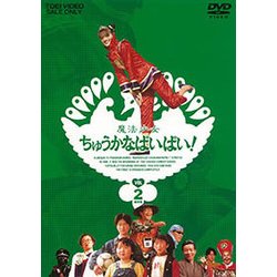 魔法少女ちゅうかなぱいぱい! VOL.2 [DVD]