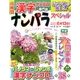 ナンパラ SPECIAL (スペシャル) 2017年 05月号 [雑誌]