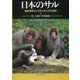 日本のサル―哺乳類学としてのニホンザル研究 [単行本]