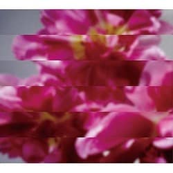 MONDO GROSSO／何度でも新しく生まれる