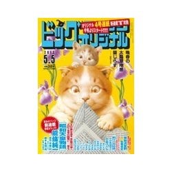 ビッグコミックオリジナル 2017年 5/5号 [雑誌]