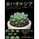 多肉植物ハオルシア 美しい種類と育て方のコツ(仮) [単行本]
