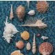 Spitz／CYCLE HIT 1991～1997 Spitz Complete Single Collection
