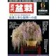 近代盆栽 2017年 06月号 [雑誌]