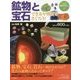 鉱物と宝石-でき方や性質をさぐろう！ [事典辞典]
