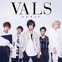 VALS／シルエット
