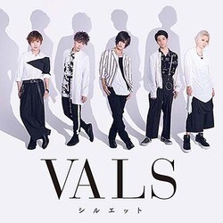 VALS／シルエット