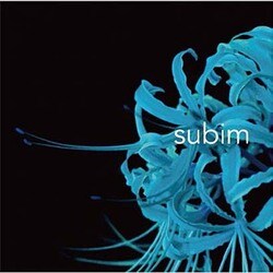 神はサイコロを振らない／subim