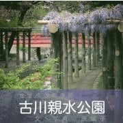 古川親水公園-せせらぎの季節 [単行本]
