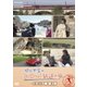 関口知宏のヨーロッパ鉄道の旅 イタリア編 第3回 [DVD]