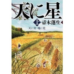 天に星 地に花〈上〉(集英社文庫) [文庫]