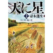 天に星 地に花〈上〉(集英社文庫) [文庫]