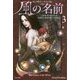 風の名前〈3〉―キングキラー・クロニクル（1）（ハヤカワ文庫FT） [文庫]
