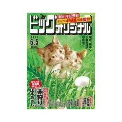 ビッグコミックオリジナル 2017年 6/5号 [雑誌]
