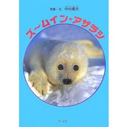 ズームイン・アザラシ(旺文社ジュニア・ノンフィクション) [全集叢書]