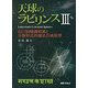 天球のラビリンス III [単行本]