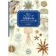 美しいアンティーク生物画の本 クラゲ・ウニ・ヒトデ篇 [単行本]