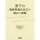 原子力損害賠償法改正の動向と課題 [単行本]