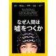 NATIONAL GEOGRAPHIC (ナショナル ジオグラフィック) 日本版 2017年 06月号 [雑誌]