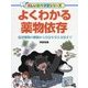 よくわかる薬物依存―乱用薬物の種類から自分を守る方法まで(楽しい調べ学習シリーズ) [事典辞典]