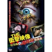 THE 衝撃映像 総集編(4) とことん狂気！動画集 [DVD]